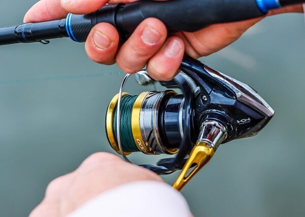 Kołowrotek spinningowy Shimano w dłoni wędkarza