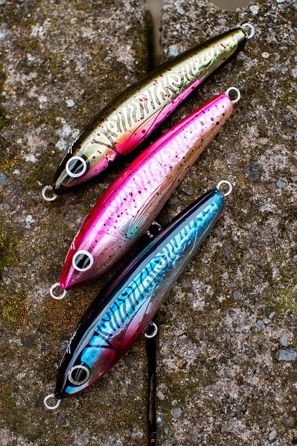 Woblery Dragon Phantom w kolorach perch