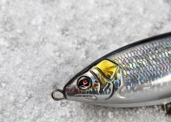 Srebrny wobler Jaxon Hornet Minnow