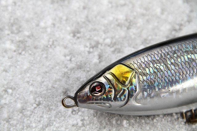 Srebrny wobler Jaxon Hornet Minnow